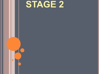 STAGE 2
 