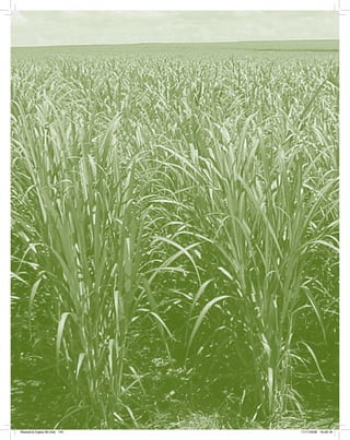 Bioetanol-Ingles-06.indd 144Bioetanol-Ingles-06.indd 144 11/11/2008 16:28:1811/11/2008 16:28:18
 