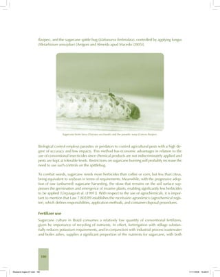 180
flavipes), and the sugarcane spittle bug (Mahanarva fimbriolata), controlled by applying fungus
(Metarhizium anisopliae) [Arrigoni and Almeida apud Macedo (2005)].
Sugarcane borer larva (Diatraea saccharalis) and the parasitic wasp (Cotesia flavipes).
Biological control employs parasites or predators to control agricultural pests with a high de-
gree of accuracy and low impacts. This method has economic advantages in relation to the
use of conventional insecticides since chemical products are not indiscriminately applied and
pests are kept at tolerable levels. Restrictions on sugarcane burning will probably increase the
need to use such controls on the spittlebug.
To combat weeds, sugarcane needs more herbicides than coffee or corn, but less than citrus,
being equivalent to soybean in terms of requirements. Meanwhile, with the progressive adop-
tion of raw (unburned) sugarcane harvesting, the straw that remains on the soil surface sup-
presses the germination and emergence of invasive plants, enabling significantly less herbicides
to be applied [Urquiaga et al. (1991)]. With respect to the use of agrochemicals, it is impor-
tant to mention that Law 7.802/89 establishes the receituário agronômico (agrochemical regis-
ter), which defines responsibilities, application methods, and container disposal procedures.
Fertilizer use
Sugarcane culture in Brazil consumes a relatively low quantity of conventional fertilizers,
given he importance of recycling of nutrients. In effect, fertirrigation with stillage substan-
tially reduces potassium requirements, and in conjunction with industrial process wastewater
and boiler ashes, supplies a significant proportion of the nutrients for sugarcane, with both
Bioetanol-Ingles-07.indd 180Bioetanol-Ingles-07.indd 180 11/11/2008 16:29:0111/11/2008 16:29:01
 
