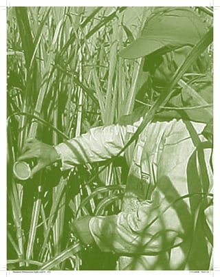 Bioetanol-Referencias-Inglês.ind272 272Bioetanol-Referencias-Inglês.ind272 272 11/11/2008 16:21:1211/11/2008 16:21:12
 