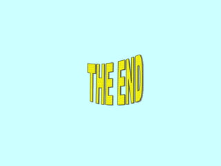 THE END 
