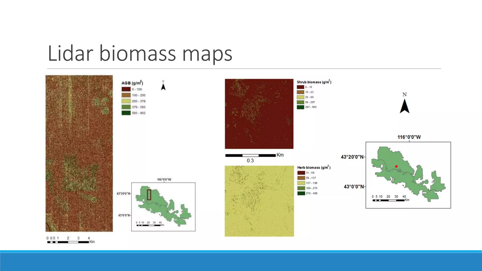 Lidar biomass maps
 