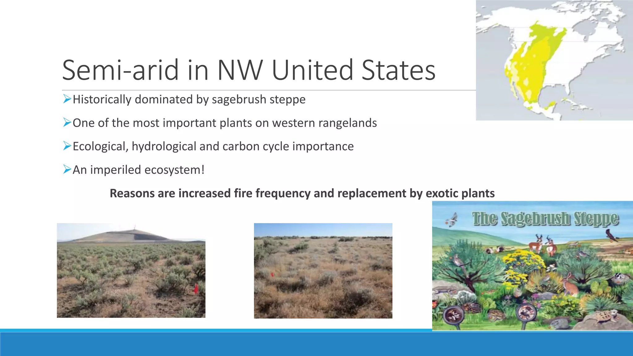 Semi-arid in NW United States
Historically dominated by sagebrush steppe
One of the most important plants on western rangelands
Ecological, hydrological and carbon cycle importance
An imperiled ecosystem!
Reasons are increased fire frequency and replacement by exotic plants
 