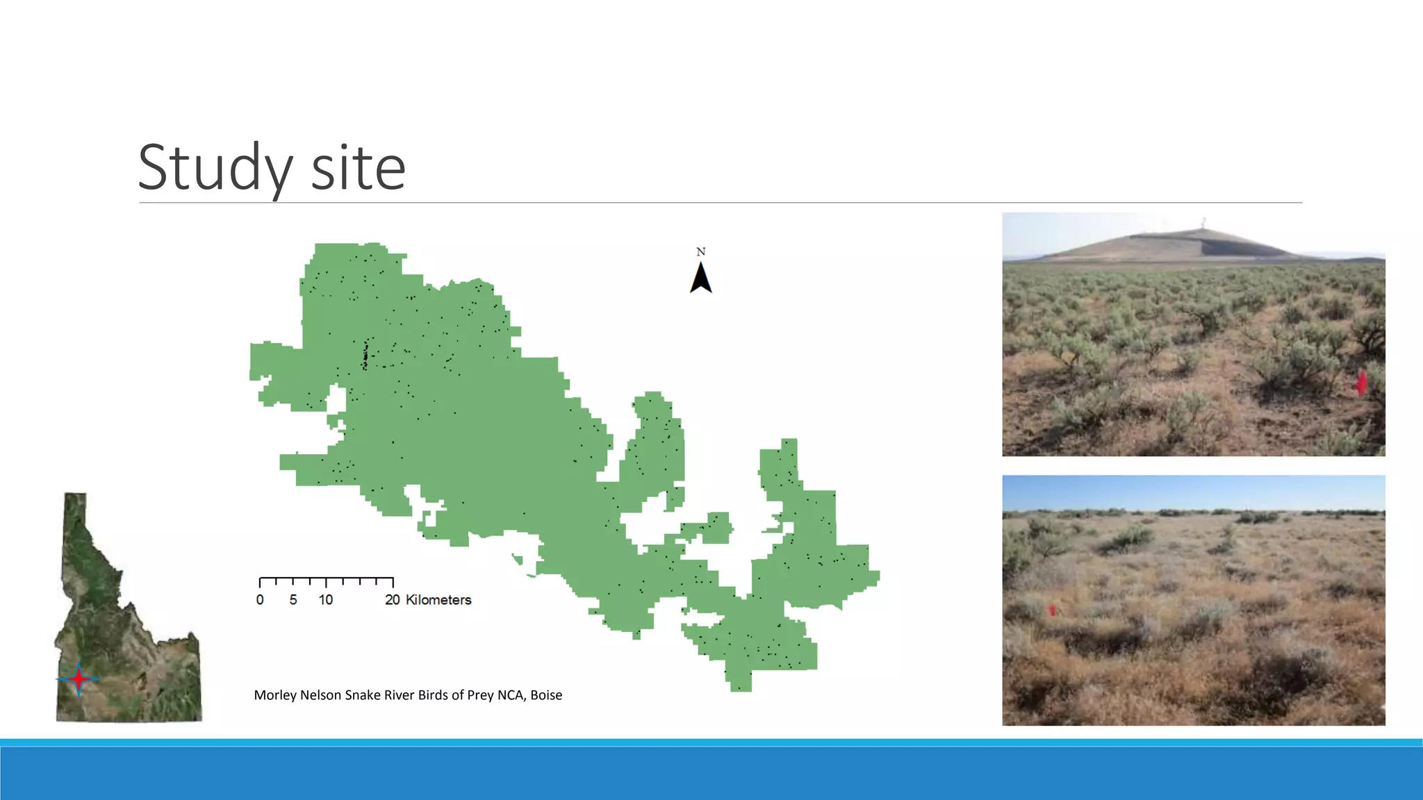Study site
Morley Nelson Snake River Birds of Prey NCA, Boise
 