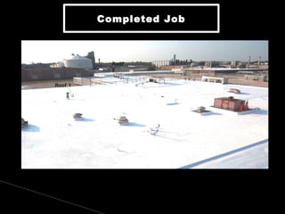 Completed JobCompleted Job
Roof 1
Roof
2
Roof 3
 
