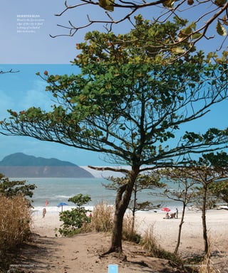 8282
DESERTED BLISS
Head to the far western
edge of the city to find
a string of secluded
hike-in beaches.
INSPIRATOMAGAZINE.COMINSPIRATO MAGAZINE | WINTER 2016
RIO W
RIO M
RIO W
RIO M
 