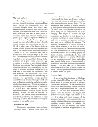 98 Singh and Umrao
Alternaria leaf spot
The fungus Alternaria tenuissima, A.
alternata frequently associated with diseased bean
leaves having the characteristic leaf spot
symptoms. Initially lesions were brown, water
soaked, circular to irregular in shape, also appeared
on stems, pods and other plant parts. These dark
brown leaf spots often have a zoned pattern of
concentric brown rings with dark margins, which
give the spots a target-like appearance. Older leaves
are usually attacked first, but the disease progresses
upward and make affected leaves turn yellowish,
become senescent and either dry up and droop or
fall off. In a later stage of the disease, the leaves
become blighted from the margin to the center and
most of the diseased plants defoliated completely
(Rahman et al., 30). Alternaria spots can be
distinguished from ascochyta blight as the spots
have a brown margin containing obvious concentric
rings but do not produce black fruiting bodies
(pycnidia) on a grey centre. Alternaria spp.
overwinter as mycelium or spores in infected plant
debris and in or on seeds. They have dark-coloured
mycelium and short, erect conidiophores that bear
single or branched chains of conidia which are
dark, long or pear shaped and multicellular, with
both transverse and longitudinal cross walls.
Conidia are detached easily and are carried by air
currents. The germinating spores penetrate
susceptible tissue directly or through wounds and
soon produce new conidia that are further spread by
wind, splashing rain, etc. Alternaria diseases are
controlled primarily through the use of disease-free
or treated seed, and chemical sprays with
appropriate fungicides. Adequate nitrogen fertilizer
generally reduces the rate of infection by
Alternaria. Crop rotation, removal and burning of
plant debris, if infected, and eradication of weed
hosts help to reduce the inoculum for subsequent
plantings of susceptible crops.
Cercospora leaf spot
This is a minor bean disease, caused by fungus
Cercospora zonata. It mainly affects leaves, but
may also affect stems and pods of faba bean.
Symptoms of this disease can be easily confused
with those of Ascochyta leaf spot (Ascochyta
fabae) or chocolate spot (Botrytis fabae). This has
been causing some confusion in accurate diagnosis
by many growers and consultants in recent years.
Cercospora, like Ascochyta, develops early in the
season during wet and cold conditions but is less
damaging. The fungus is favoured by high
temperatures and therefore is most destructive in
the summer months and in warmer climates. Spores
need water to germinate and penetrate and heavy
dews seem to be sufficient for infection. The
pathogen overseasons in or on the seed and as
minute black stromata in old infected leaves.
Cercospora diseases are controlled by using disease
free seed, crop rotations with hosts not affected by
the same Cercospora species; and by spraying the
plants, both in the seedbed and in the field, with
appropriate fungicides. The severity of Cercospora
leaf spot appears to be strongly linked to close faba
bean rotation. Foliar spray of chlorothalonil or
carbendazim applied for the management of major
diseases, it can also take care of Cercospora
infection and help to retain on lower leaves in the
canopy. It is anticipated that resistant cultivars will
be released within five years.
Common blight
It is a serious bacterial disease of faba bean,
reported to cause 10 to 45 per cent yield losses. The
disease seems to be more prevalent in relatively
warm weather conditions. This disease reduced the
quality of the pods and thereby lowering the market
value due to rough and blemishes skin (Fahy and
Persley, 5). The seed must be obtained from a
reliable source to minimize the danger from
seedborne inoculum. Proper crop rotation is one
way of avoiding soil borne inoculum of the
bacterium. Hence, a 2-3year crop rotation had been
found to afford considerable protection to the crop.
Sanitation practices aiming at reducing the
inoculum in a field by removing and burning
infected plants or branches. Deep ploughing of soil
 