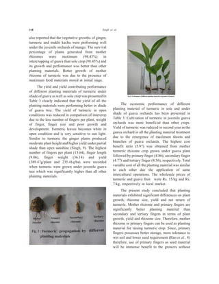 118 Singh et al.
also reported that the vegetative growths of ginger,
turmeric and mukhi kachu were performing well
under the juvenile orchards of mango. The survival
percentage of plants generated from mother
rhizomes were maximum (98.45%) in
intercropping of guava than sole crop (98.45%) and
its growth and performance was better than other
planting materials. Better growth of mother
rhizome of turmeric was due to the presence of
maximum food materials stored at initial stage.
The yield and yield contributing performance
of different planting materials of turmeric under
shade of guava as well as sole crop was presented in
Table 3 clearly indicated that the yield of all the
planting materials were performing better in shade
of guava tree. The yield of turmeric in open
conditions was reduced in comparison of intercrop
due to the less number of fingers per plant, weight
of finger, finger size and poor growth and
development. Turmeric leaves becomes white in
open condition and is very sensitive to sun light.
Similar to turmeric the ginger plants produced
moderate plant height and higher yield under partial
shade than open sunshine (Singh, 9). The highest
number of fingers per plant (13.64), finger length
(9.06), finger weight (36.14) and yield
(389.47g/plant and 235.41q/ha) were recorded
when turmeric were grown under juvenile guava
tree which was significantly higher than all other
planting materials.
The economic performance of different
planting material of turmeric in sole and under
shade of guava orchards has been presented in
Table 3. Cultivation of turmeric in juvenile guava
orchards was more beneficial than other crops.
Yield of turmeric was reduced in second year in the
guava orchard in all the planting material treatment
due to the emergence of maximum shoots and
branches of guava orchards. The highest cost
benefit ratio (5.97) was obtained from mother
turmeric rhizome crop grown under guava plant
followed by primary finger (4.86), secondary finger
(4.77) and tertiary finger (4.56), respectively. Total
variable cost of all the planting material was similar
to each other due the application of same
intercultural operations. The wholesale prices of
turmeric and guava fruit were Rs. 15/kg and Rs.
7/kg, respectively in local market.
The present study concluded that planting
materials exhibited significant differences on plant
growth, rhizome size, yield and net return of
turmeric. Mother rhizome and primary fingers are
significantly better planting material than
secondary and tertiary fingers in terms of plant
growth, yield and rhizome size. Therefore, mother
rhizome or primary fingers can be used as planting
material for raising turmeric crop. Since, primary
fingers possesses better storage, more tolerance to
wet soil and lower seed requirement (Rao et al., 8)
therefore, use of primary fingers as seed material
will be immense benefit to the growers without
 