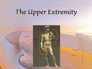 TThhee UUppppeerr EExxttrreemmiittyy 
 