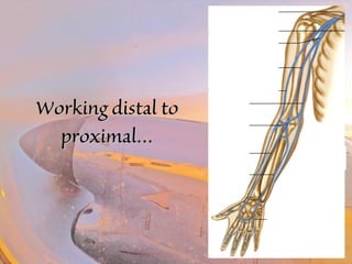 WWoorrkkiinngg ddiissttaall ttoo 
pprrooxxiimmaall…… 
 