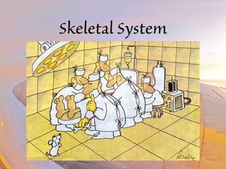 SSkkeelleettaall SSyysstteemm 
 