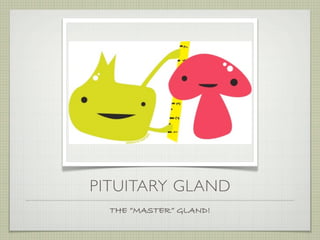 PITUITARY GLAND
  THE “MASTER” GLAND!
 