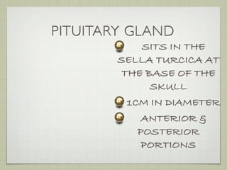 PITUITARY GLAND
             SITS IN THE
        SELLA TURCICA AT
         THE BASE OF THE
              SKULL
          1CM IN DIAMETER
             ANTERIOR &
            POSTERIOR
             PORTIONS
 