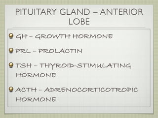 PITUITARY GLAND – ANTERIOR
            LOBE
GH – GROWTH HORMONE
PRL – PROLACTIN
TSH – THYROID-STIMULATING
HORMONE
ACTH – ADRENOCORTICOTROPIC
HORMONE
 