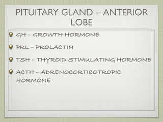 PITUITARY GLAND – ANTERIOR
            LOBE
GH – GROWTH HORMONE
PRL – PROLACTIN
TSH – THYROID-STIMULATING HORMONE
ACTH – ADRENOCORTICOTROPIC
HORMONE
 