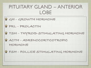 PITUITARY GLAND – ANTERIOR
            LOBE
GH – GROWTH HORMONE
PRL – PROLACTIN
TSH – THYROID-STIMULATING HORMONE
ACTH – ADRENOCORTICOTROPIC
HORMONE
FSH – FOLLICE STIMULATING HORMONE
 