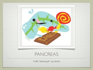 PANCREAS
THE “SHUGA” GLAND
 