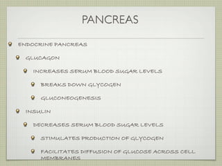 PANCREAS

ENDOCRINE PANCREAS

 GLUCAGON

   INCREASES SERUM BLOOD SUGAR LEVELS

     BREAKS DOWN GLYCOGEN

     GLUCONEOGENESIS

 INSULIN

   DECREASES SERUM BLOOD SUGAR LEVELS

     STIMULATES PRODUCTION OF GLYCOGEN

     FACILITATES DIFFUSION OF GLUCOSE ACROSS CELL
     MEMBRANES
 