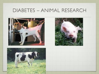 DIABETES – ANIMAL RESEARCH
 