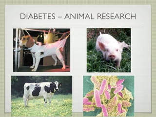 DIABETES – ANIMAL RESEARCH
 