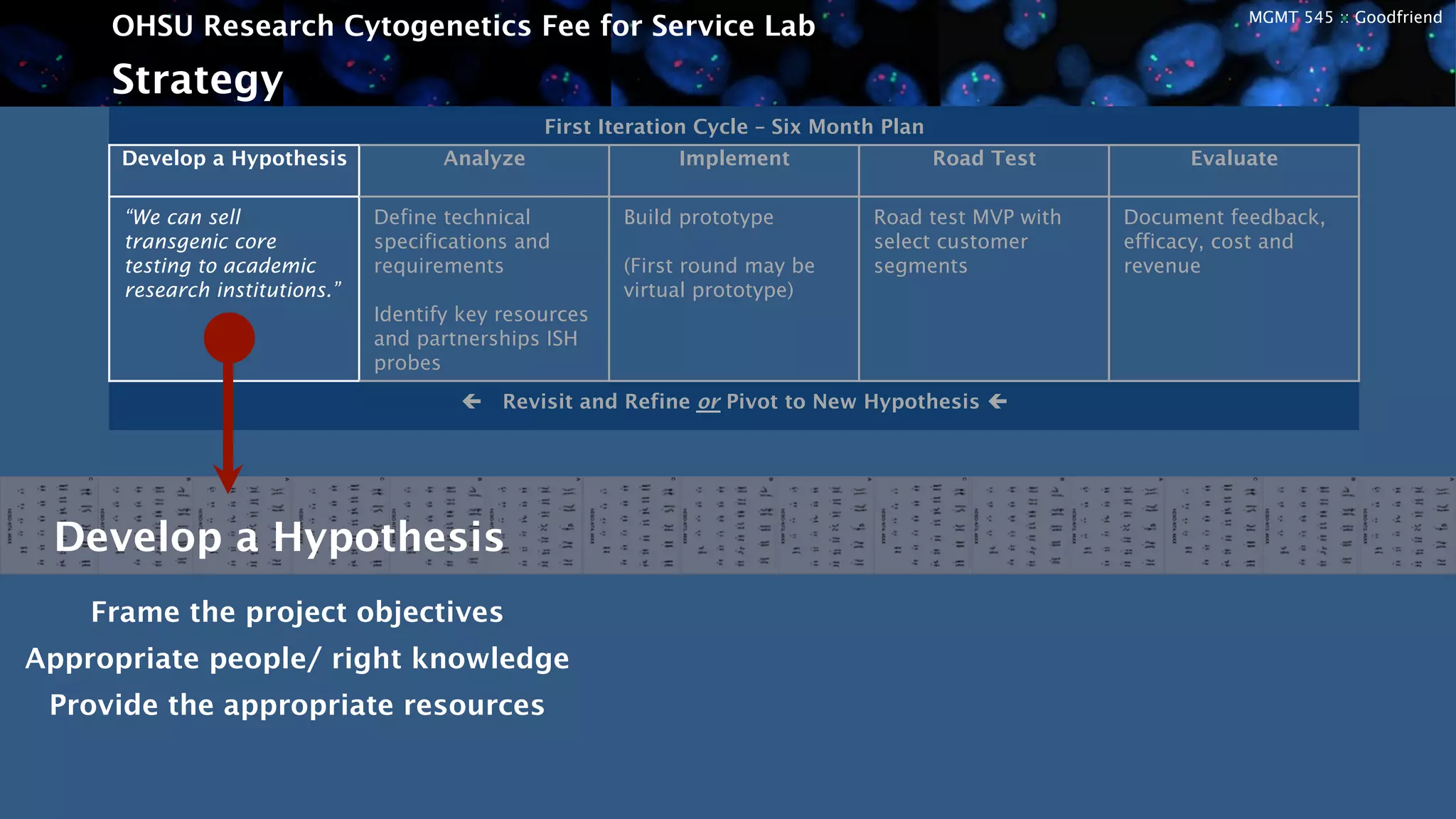 MGMT 545 :: Goodfriend
OHSU Research Cytogenetics Fee for Service Lab
Strategy
First Iteration Cycle – Six Month Plan
Develop a Hypothesis Analyze Implement Road Test Evaluate
“We can sell
transgenic core
testing to academic
research institutions.”
Define technical
specifications and
requirements
Identify key resources
and partnerships ISH
probes
Build prototype
(First round may be
virtual prototype)
Road test MVP with
select customer
segments
Document feedback,
efficacy, cost and
revenue
ç Revisit and Refine or Pivot to New Hypothesis ç	
  
Develop a Hypothesis
Frame the project objectives
Appropriate people/ right knowledge
Provide the appropriate resources
 