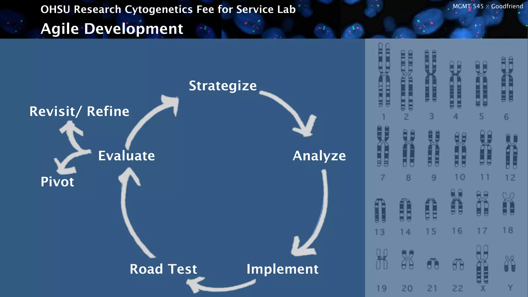 MGMT 545 :: Goodfriend
OHSU Research Cytogenetics Fee for Service Lab
Strategize
Analyze
ImplementRoad Test
Evaluate
Agile Development
Revisit/ Refine
Pivot
 