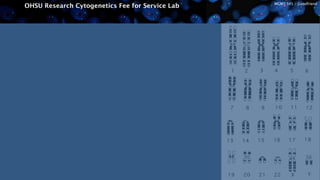 MGMT 545 :: Goodfriend
OHSU Research Cytogenetics Fee for Service Lab
 