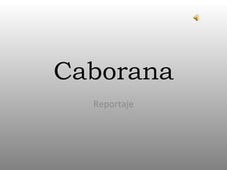 Caborana Reportaje 