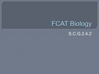 FCAT Biology S.C.G.2.4.2 