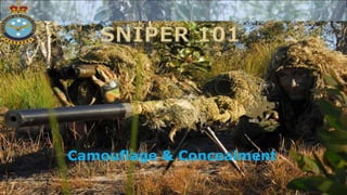 Camouflage & Concealment
 