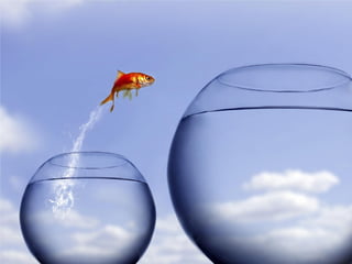 Social Media in the Workplace