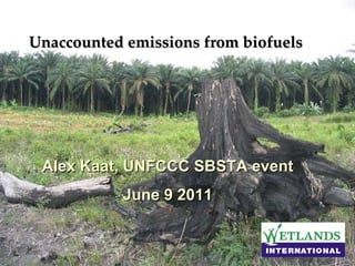 Unaccounted emissions from biofuels  Alex Kaat, UNFCCC SBSTA event June 9 2011 