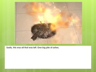 Sadly, this was all that was left. One big pile of ashes.
 