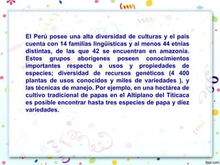 El Perú posee una alta diversidad de culturas y el país
cuenta con 14 familias lingüísticas y al menos 44 etnias
distintas, de las que 42 se encuentran en amazonía.
Estos grupos aborígenes poseen conocimientos
importantes respecto a usos y propiedades de
especies; diversidad de recursos genéticos (4 400
plantas de usos conocidos y miles de variedades ), y
las técnicas de manejo. Por ejemplo, en una hectárea de
cultivo tradicional de papas en el Altiplano del Titicaca
es posible encontrar hasta tres especies de papa y diez
variedades.
 