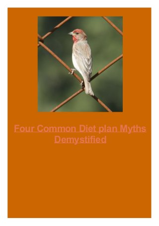 Four Common Diet plan Myths
Demystified
 