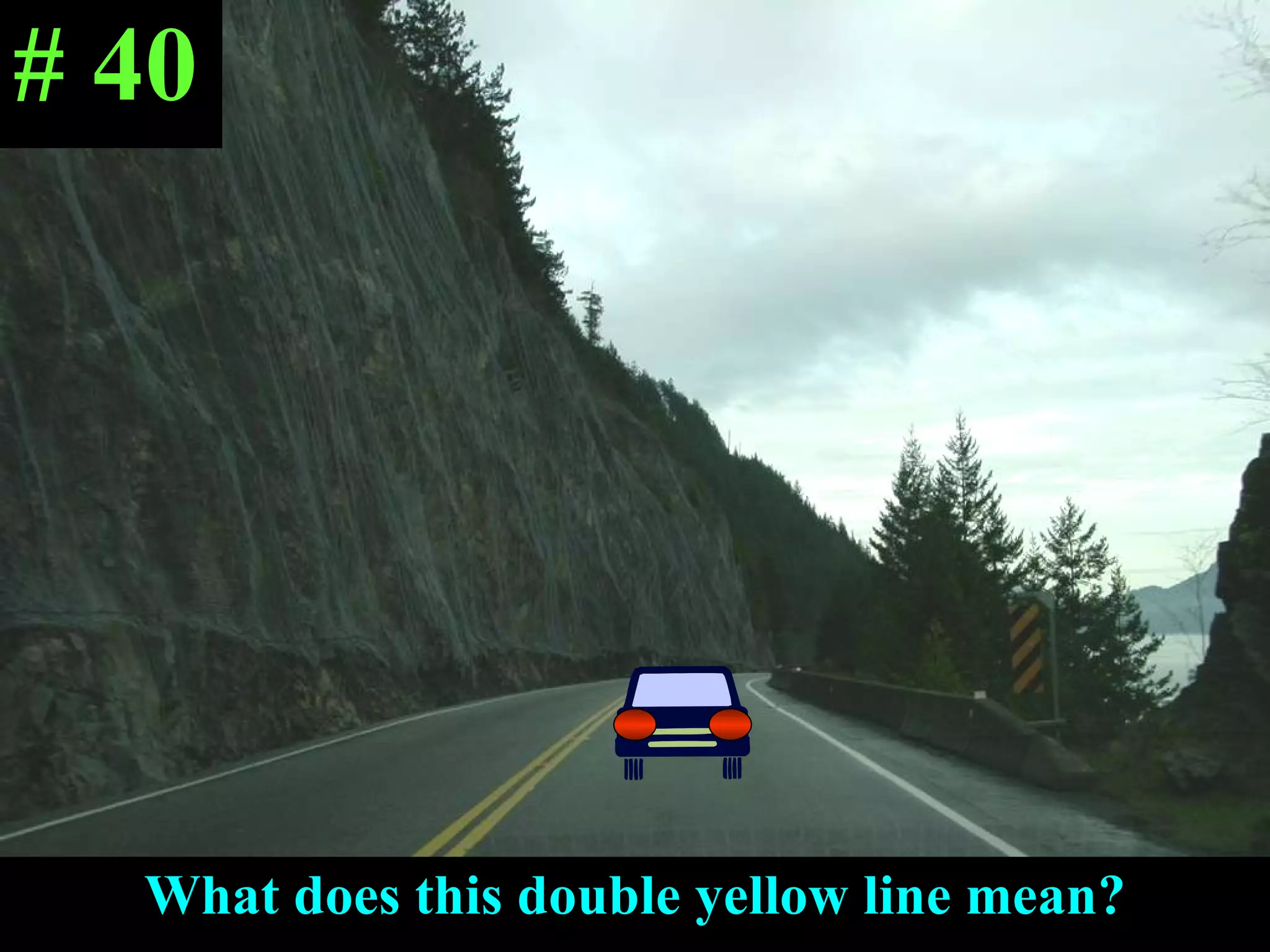 What does this double yellow line mean? # 40 