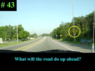What will the road do up ahead? # 43 