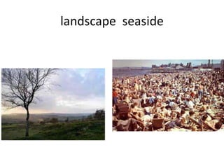 landscape seaside
 