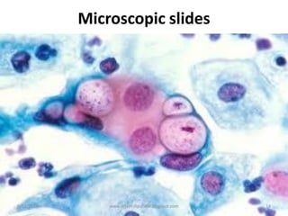 Microscopic slides
9/12/2014
14
www.drjayeshpatidar.blogspot.com
