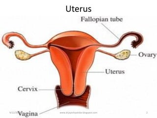 Uterus
9/12/2014
2
www.drjayeshpatidar.blogspot.com
