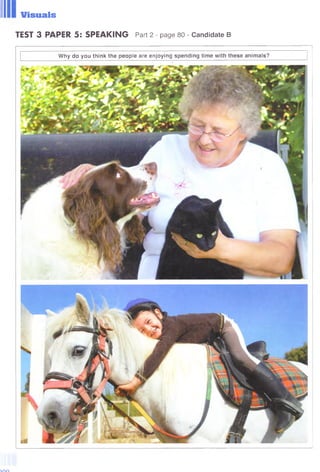 Visuals
TEST 3 PAPER 5: SPEAKING Part 2 - page 80 - Candidate В
W hy do you think the people are enjoying spending tim e with these animals?
inn
 