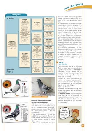 Nos champions
19
Quelques remarques recueillies
au cours de ce reportage :
 2012 fut une année noire particulière-
ment difficile pour notre hôte avec un
vol qui l’a momentanément découragé, il
avoue même avoir éprouvé des difficul-
tés à retrouver du plaisir à «retourner
aux pigeons».
 Son meilleur souvenir, à ce jour, date
de 2016 où avec un pigeon d’un an, il se
classe Premier Nord Pas-de-Calais avec
la plus grande vitesse d’environ
15000 pigeons!
 Selon lui, le colombophile doit réunir
plusieurs qualités, à savoir la rigueur, la
volonté, l’observation et le courage… Nul
doute qu’elles font partie de son quoti-
dien.
 Aux débutants qui veulent pratiquer
notre loisir (c’est l’ancien qui parle!!!), il
leur conseillera de commencer à jouer la
vitesse avec des jeunes, ne pas se laisser
envahir par le trop grand nombre, ne pas
prendre «des pigeons de partout pour
éviter la propagation de maladies ».
 Il n’oublie pas que pour figurer parmi
les Champions, il faut savoir s’entourer,
d’où ses propos que je cite: «Je remercie
Damien Baert pour la qualité des pigeons
et les conseils reçus mais aussi mon par-
rain José Poteaux pour les débuts et l’ap-
prentissage».
 «La saison en Pigeonneaux a été fan-
tastique, dit-il (je confirme!). Je ne saurai
pas trop l’expliquer! Mon objectif pour
les années futures consistera à essayer
de garder le même niveau tout en
essayant d’améliorer. J’espère être bien
classé encore en 2020 au niveau
National! »
Mot
de la fin
C’est tout le mal que je lui souhaite!
C’est un jeune que, personnellement,
j’apprécie beaucoup et qui mérite d’être
encouragé. J’ai été heureux de lui
annoncer ce jour le résultat négatif du
contrôle anti dopage effectué cette
année dans sa colonie.
Il incarne la jeunesse colombophile qui
monte et qui occupera des responsabili-
tés an apportant ses idées. Il a les pieds
bien sur terre et sait où il va, de façon
discrète certes mais efficace.
Bravo à toi Maxime!
Toutes mes félicitations. Longue et belle
vie avec tes pigeons, pour le bien de la
colombophilie!
 Dernière minute : Maxime remporte
entre autres le titre de Champion de
France 2020 Pigeonneaux, se classe 2e
en
500-750 km, 4e
Toutes Catégories; il
remporte l’As Pigeon en 100-300 km et
en Pigeonneaux!!!
Pedigree
BE 06-9114107
Cody, Bleu 
Frère de Daisy, Nils, Hector… 
Père du Connor 1er
 Int. 
Prov Vierzon 11 065 p. 
Père de Mandy 1er
 Prov. 
BE 10-9034301
Killian 
Mâle Bleu 
Frère du Connor 
Frère de Mandy
BE 97-9129061
Jack, Ecaillé 
100 % Casaert M. et G. 
Père de Mélissa 
2e
 Nat. Argenton 17 112 p. 
1er
 CFW Argenton 4 453 p.
BE 02-9050011
Carla 
Femelle Ecaillée 
Sœur de Mélissa 
1er
 Argenton 4 453 p. 
2e
 Nat. Argenton 17 129 p. 
16e
 Bourges 509 p. 
1er
 Argenton 609 p.
BE 06 – 9114107
Cody, Bleu 
Frère de Daisy, Nils, 
Hector… 
Père du Connor 1er
 Int. 
Prov. Vierzon 11 065 p. 
BE 12-9040361
Fils Cody 
Mâle 
Damien Baert de Ere 
Propre frère du Connor 
1 sur 11 065 Interprovincial 
Vierzon 
59 sur 10549 National 
Argenton 
1 sur 579 Etampes 
2 sur 443 Ecouen 
190 sur 17 109 National 
La Souterraine
FR 12-240881
Ecaillé 
Tardif 2012 
Père de la 27377-15 
As Pigeon jeune fond  
2015 Douai 
FR 15-27377
Miss Argenton 
Femelle 
1 sur 289 Pont St-Maxence 
1 sur 424 Pont St-Maxence 
1 sur 303 Nord P.-de-C. 
Agen femelle 
2 sur 152 Arr. Agen 1 an 
5 sur 1 364 Nord P.-de-C. 
Agen 1 an 
1 sur 442 Nord P.-de-C. 
femelle Guéret
FR 17-335000
Femelle Bleue 
Tardif 2017 mise  
en reproduction 
Mère de la 22493-19 
1er
 As Pigeon National 
Jeune 2019 
Mère du 22494-19 
5e
 As Pigeon National 
Jeune 2019 
Père du 22468-19 
6e
 As pigeon National 
Jeune 2019
FR 19-22493
Femelle Bleue macôt 
1er
 As pigeon jeune 
National France 2019 
1er
 As Pigeon jeune 
Groupement Douai 2019 
Sœur du 22494-19 
5e
 As Pigeon jeune 
National France 2019
FR 12-2968
Le 68 
Mâle Bleu pls bls 
3 premier prix en 2012 
Achat dans l’œuf chez 
Damien Baert 
Père de la 22493-19 
1er
 As Pigeon Jeune  
National 2019 
Père du 22494-19 
5e
 As Pigeon Jeune 
National 2019 
Père de la 27371-15 
1 sur 556 Arr. Châteauroux 
1 sur 4797 P.-de-C. 1 an 
Châteauroux 2016 
1 sur 1 638 P.-de-C. femelle 
Châteauroux 
1 sur 14 813 Nord P.-de-C. 
(plus grande vitesse) 
3 sur 152 Arr. Douai 
Agen 
2 sur 303 P.-de-C. 
Femelle Agen 
8 sur 1 364 P.-de-C. 
1 an Agen
BE 06-9123242
Nina, Bleue pls bls 
Direct Casaert M. et G. 
Mère du Connor 1er
 Int. 
Prov Vierzon 11 065 p. 
Mère de Mandy 1er
 Prov 
BE 06-9123242
Nina, Bleue pls bls 
Direct Casaert M. et G. 
Mère du Connor 1er
 Int. 
Prov. Vierzon 11 065 p. 
Mère de Mandy 1er
 Prov. 
BE 96-9094211
Jessica, bleue 
Mère de Mélissa 
2e
 Nat. Argenton 17 112 p. 
1er
 CFW Argenton 4 453 p. 
2e
 Nat. z Argenton 6 208 p.
FR 12-240890
Bleue 
Reçu par Damien Baert 
dans l’œuf en 2012 
Mère de la 27377-15
Le champion dans son casier
Bravo
Maxime !
J’espère faire
aussi bien
que toi en
2021 !
Maxime Renaud
Erre
Rompteaux 114
06 12 80 17 02
FR 19-22493
 
