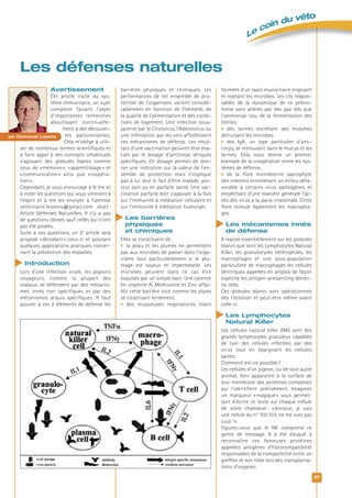 Le coin du véto
21
Les défenses naturelles
Avertissement
Cet article traite du sys-
tème immunitaire, un sujet
complexe faisant l’objet
d’importantes recherches
aboutissant continuelle-
ment à des découver-
tes passionnantes.
Cela m’oblige à utili-
ser de nombreux termes scientifiques et
à faire appel à des concepts inhabituels
s’agissant des globules blancs comme
ceux de «mémoire», «apprentissage» et
«communication» ainsi que «coopéra-
tion».
Cependant, je vous encourage à le lire et
à noter les questions qui vous viennent à
l’esprit et à me les envoyer à l’adresse
veterinaire.leysens@gmail.com objet :
Article Défenses Naturelles. Il n’y a pas
de questions idiotes sauf celles qui n’ont
pas été posées.
Suite à vos questions, un 2e
article sera
proposé «décodant» celui-ci et ajoutant
quelques applications pratiques concer-
nant la prévention des maladies.
Introduction
Lors d’une infection virale, les pigeons
voyageurs, comme la plupart des
oiseaux, se défendent par des mécanis-
mes innés non spécifiques et par des
mécanismes acquis spécifiques. Il faut
ajouter à ces 2 éléments de défense les
barrières physiques et chimiques. Les
performances de cet ensemble de pro-
tection de l’organisme varient considé-
rablement en fonction de l’hérédité, de
la qualité de l’alimentation et des condi-
tions de logement. Une infection sous-
jacente par le Circovirus, l’Adénovirus ou
une infestation par les vers affaiblissent
ces mécanismes de défense. Les résul-
tats d’une vaccination peuvent être éva-
lués par le dosage d’anticorps sériques
spécifiques. Ce dosage permet de don-
ner une indication sur la valeur de l’en-
semble de protection mais n’explique
pas à lui seul le fait d’être malade, por-
teur sain ou en parfaite santé. Une vac-
cination parfaite doit s’appuyer à la fois
sur l’immunité à médiation cellulaire et
sur l’immunité à médiation humorale.
Les barrières
physiques
et chimiques
Elles se constituent de:
 la peau et les plumes ne permettent
pas aux microbes de passer dans l’orga-
nisme tout particulièrement si le plu-
mage est soyeux et imperméable. Les
microbes peuvent dans ce cas être
expulsés par un simple bain. Une carence
en vitamine A, Methionine et Zinc affai-
blit cette barrière tout comme les plaies
se cicatrisant lentement.
 des muqueuses respiratoires étant
formées d’un tapis mucociliaire engluant
et rejetant les microbes. Les cils respon-
sables de la dynamique de ce phéno-
mène sont altérés par des gaz tels que
l’ammoniac issu de la fermentation des
fientes.
 des larmes excrétant des enzymes
détruisant les microbes.
 des IgA, un type particulier d’anti-
corps, se retrouvant dans le mucus et les
larmes. Cela nous donne un premier
exemple de la coopération entre les sys-
tèmes de défense.
 de la flore microbienne saprophyte
des intestins entretenant un milieu défa-
vorable à certains virus pathogènes et
empêchant d’une manière générale l’ac-
cès des virus à la paroi intestinale. Cette
flore stimule également les macropha-
ges.
Les mécanismes innés
de défense
Il repose essentiellement sur les globules
blancs que sont les Lymphocytes Natural
Killer, les granulocytes hétérophiles, les
macrophages et une sous-population
particulière de macrophages les cellules
dentriques appelées en anglais de façon
explicite les antigen-pressenting dendri-
tic cells.
Ces globules blancs sont opérationnels
dès l’éclosion et peut-être même avant
celle-ci.
Les Lymphocytes
Natural Killer
Les cellules natural killer (NK) sont des
grands lymphocytes granuleux capables
de tuer des cellules infectées par des
virus tout en épargnant les cellules
saines.
Comment est-ce possible?
Les cellules d’un pigeon, ou de tout autre
animal, font apparaître à la surface de
leur membrane des protéines complexes
qui l’identifient précisément. Imaginez
un marqueur «magique» vous permet-
tant d’écrire ce texte sur chaque cellule
de votre champion: «bonjour, je suis
une cellule du n° 102103, ne me tuez pas
s.v.p.!».
Figurez-vous que le NK comprend ce
genre de message. Il a été éduqué à
reconnaître ces fameuses protéines
appelées antigènes d’histocompatibilité
responsables de la compatibilité entre un
greffon et son hôte lors des transplanta-
tions d’organes.
par Emmanuel Leysens
 