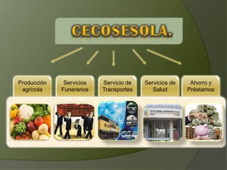 Producción    Servicios   Servicio de   Servicios de    Ahorro y
 agrícola    Funerarios   Transportes      Salud       Préstamos
 