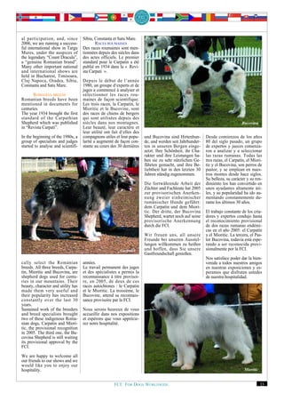 al participation, and, since        Sibiu, Constanta et Satu Mare.
2006, we are running a success-            RACES ROUMAINES
ful international show in Targu     Des races roumaines sont men-
Mures, under the auspices of        tionnées depuis des siècles dans
the legendary “Count Dracula”,      des actes officiels. Le premier
a “genuine Romanian brand”.         standard pour le Carpatin a été
Many other important national       publié en 1934 dans la « Revi-
and international shows are         sta Carpati ».
held in Bucharest, Timisoara,
Cluj Napoca, Oradea, Sibiu,         Depuis le début de l‘année
Constanta and Satu Mare.            1980, un groupe d‘experts et de
                                    juges a commencé à analyser et
       ROMANIAN BREEDS              sélectionner les races rou-
Romanian breeds have been           maines de façon scientifique.
mentioned in documents for          Les trois races, la Carpatin, le
centuries.                          Mioritic et le Bucovine, sont
The year 1934 brought the first     des races de chiens de bergers
standard of the Carpathian          qui sont utilisées depuis des
Shepherd which was published        siècles dans nos montagnes.                                                                Bucovina
in “Revista Carpati”.               Leur beauté, leur caractère et
                                    leur utilité ont fait d‘elles des
In the beginning of the 1980s, a    compagnons utiles et leur popu-     und Bucovina sind Hirtenhun-      Desde comienzos de los años
group of specialists and judges     larité a augmenté de façon con-     de, und werden seit Jahrhunder-   80 del siglo pasado, un grupo
started to analyse and scientifi-   stante au cours des 30 dernières    ten in unseren Bergen einge-      de expertos y jueces comenza-
                                                                        setzt. Ihre Schönheit, ihr Cha-   ron a analizar y a seleccionar
                                                                        rakter und ihre Leistungen ha-    las razas rumanas. Todas las
                                                                        ben sie zu sehr nützlichen Ge-    tres razas, el Carpatín, el Miori-
                                                                        fährten gemacht, und ihre Be-     tic y el Bucovina, son perros de
                                                                        liebtheit hat in den letzten 30   pastor, y se emplean en nues-
                                                                        Jahren ständig zugenommen.        tros montes desde hace siglos.
                                                                                                          Su belleza, su carácter y su ren-
                                                                        Die fortwährende Arbeit der       dimiento los han convertido en
                                                                        Züchter und Fachleute hat 2005    unos ayudantes altamente úti-
                                                                        zur provisorischen Anerken-       les, y su popularidad ha ido au-
                                                                        nung zweier einheimischer         mentando constantemente du-
                                                                        rumänischer Hunde geführt:        rante los últimos 30 años.
                                                                        dem Carpatin und dem Miori-
                                                                        tic. Der dritte, der Bucovina     El trabajo constante de los cria-
                                                                        Shepherd, wartet noch auf seine   dores y expertos condujo hasta
                                                                        provisorische Anerkennung         el reconocimiento provisional
                                                                        durch die FCI.                    de dos razas rumanas endémi-
                                                                                                          cas en el año 2005: el Carpatín
                                                                        Wir freuen uns, all unsere        y el Mioritic. La tercera, el Pas-
                                                                        Freunde bei unseren Ausstel-      tor Bucovina, todavía está espe-
                                                                        lungen willkommen zu heißen       rando a ser reconocida provi-
                                                         Carpatin       und hoffen, dass Sie unsere       sionalmente por la FCI.
                                                                        Gastfreundschaft genießen.
                                                                                                          Nos satisface poder dar la bien-
cally select the Romanian           années.                                                               venida a todos nuestros amigos
breeds. All three breeds, Carpa-    Le travail permanent des juges                                        en nuestras exposiciones y es-
tin, Mioritic and Bucovina, are     et des spécialistes a permis la                                       peramos que disfruten ustedes
shepherd dogs used for centu-       reconnaissance à titre provisoi-                                      de nuestra hospitalidad.
ries in our mountains. Their        re, en 2005, de deux de ces
beauty, character and utility has   races autochtones : le Carpatin
made them very useful and           et le Mioritic. La troisième, le
their popularity has increased      Bucovine, attend sa reconnais-
constantly over the last 30         sance provisoire par la FCI.
years.
Sustained work of the breeders      Nous serons heureux de vous
and breed specialists brought       accueillir dans nos expositions
two of these indigenous Roma-       et espérons que vous apprécie-
nian dogs, Carpatin and Miori-      rez notre hospitalité.
tic, the provisional recognition
in 2005. The third one, the Bu-
covina Shepherd is still waiting
its provisional approval by the
FCI.
We are happy to welcome all
our friends to our shows and we
would like you to enjoy our
hospitality.                                                                                                                     Mioritic


                                                      FCI. FOR DOGS WORLDWIDE.                                                              33
 