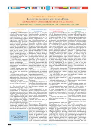 OUR DOGS’ HEALTH IS OUR CONCERN.
                              LA SANTÉ DE NOS CHIENS NOUS TIENT À COEUR.
                          DIE GESUNDHEIT UNSERER HUNDE LIEGT UNS AM HERZEN.
               LA SALUD DE NUESTROS PERROS NOS PREOCUPA Y NOS IMPORTA MUCHO.

    CAUSES AND TREATMENT OF            CAUSES ET TRAITEMENTS DE LA            URSACHEN UND BEHANDLUNG           CAUSAS Y TRATAMIENTO DE LA
            COPROPHAGY                           COPROPHAGIE                       VON KOPROPHAGIE                        COPROFAGIA
 Coprophagy can be found in            La coprophagie se présente           Koprophagie kommt bei Tieren        La coprofagia se presenta en
 animals with a certain nutrition-     chez les animaux qui souffrent       vor, die unter einem bestimm-       animales que carecen de deter-
 al deficiency, or with a behav-       d'une certaine déficience en         ten Nährstoffmangel oder einer      minados nutrientes o bien que
 ioural disturbance. If a feed is      substances nutritives ou d'un        Verhaltensstörung leiden.           padecen alguna alteración de su
 high in carbohydrates (a surplus      trouble comportemental. Lors-        Wenn das Futter reich an Koh-       conducta. Si el alimento es rico
 in grains and vegetable fibres),      que l'alimentation est riche en      lehydraten ist (mit einem hohen     en hidratos de carbono (con una
 lacks flavour, or is relatively       carbohydrates (avec une part         Anteil an Getreide und pflanz-      porción alta de cereales y fibras
 low in vitamin B1, there is a         importante en céréales et fibres     lichen Ballaststoffen), es ihm      alimentarias vegetales) y le fal-
 chance of the dog developing          végétales), lorsqu'elle manque       an Geschmack fehlt oder es          ta sabor o tiene un contenido de
 coprophagy. Coprophagy exists         de goût ou présente une teneur       einen relativ niedrigen Vita-       vitamina B1 relativamente bajo,
 in many animal species and is         relativement faible en vitamine      min-B1-Gehalt aufweist, dann        entonces existe el peligro de
 common behaviour in some              B1, le chien risque de dévelop-      besteht die Gefahr, dass der        que el perro desarrolle una co-
 cases, such as bitches eating         per une coprophagie. La copro-       Hund Koprophagie entwickelt.        profagia. La coprofagia se pre-
 their litter's excrement. It is ex-   phagie se présente chez de           Koprophagie kommt bei vielen        senta en muchas especies ani-
 tremely hard to determine a           nombreuses espèces animales          Tierarten vor und ist in man-       males, y en algunos casos in-
 definite cause of the problem.        et relève dans certains cas d'un     chen Fällen normales Ver-           cluso obedece a la conducta
 The following should be con-          comportement normal, par             halten, wie beispielsweise wenn     normal, como es el caso, por
 sidered hypothetical:                 exemple lorsque les chiennes         Hündinnen die Exkremente ih-        ejemplo, en perras que ingieren
 - Undernourished dogs and             absorbent les excréments de          res Wurfs fressen. Es ist äußerst   las heces de su camada. Es muy
 those on a low-calorie diet may       leur portée. Il est extrêmement      schwierig, eine eindeutige Ur-      difícil determinar una causa
 be prone to coprophagy.               difficile de trouver la cause pré-   sache für das Problem zu fin-       unívoca y clara de este pro-
 - Faeces of dogs with digestive       cise du problème. Les possibili-     den. Folgende Möglichkeiten         blema. Valgan aquí, a modo hi-
 disorders seem to be attractive       tés suivantes peuvent être con-      sollten als hypothetisch erachtet   potético, las posibilidades si-
 to other dogs.                        sidérées comme des hypo-             werden:                             guientes:
 - Possible medical causes: gas-       thèses:                              - Unterernährte Hunde und           - Los perros hipoalimentados,
 trointestinal disturbances, kid-      - les chiens sous-alimentés et       solche, die kalorienarmes Futter    es decir, desnutridos, así como
 ney failure and endocrine             ceux qui reçoivent une alimenta-     erhalten, neigen unter Umstän-      aquellos perros cuya alimenta-
 anomalies.                            tion pauvre en calories peuvent      den zu Koprophagie.                 ción sea pobre en calorías pue-
 - A behavioural problem may           tendre à la copro-phagie ;           - Kot von Hunden, die unter         den tender a la conducta cop-
 be expected when a dog that is        - les excréments de chiens qui       Verdauungsproblemen leiden,         rofágica.
 lacking attention, finds out that     souffrent de problèmes de di-        scheint für andere Hunde ver-       - Los excrementos de canes que
 coprophagy leads to a desired         gestion semblent attirer les aut-    lockend zu sein.                    padecen afecciones digestivas
 reaction from his owner.              res chiens ;                         - Mögliche medizinische Ur-         parecen ejercer atractivo sobre
 - Boredom or stress from an           - les problèmes d'estomacs et        sachen: Magen-Darm-Proble-          otros perros.
 unvaried living environment.          intestinaux, les troubles rénaux     me, Nierenversagen und endo-        - Posibles causas médicas: pro-
                                       et les anomalies endocrines          krine Anomalien.                    blemas gastrointestinales, insu-
 As a first attempt to attack the      sont des causes médicales pos-       - Ein Verhaltensproblem ist zu      ficiencias o fallos renales así
 problem a diet change (other          sibles ;                             erwarten, wenn ein Hund, der        como anomalías endocrinas.
 commercial pet foods) may be          - on peut s'attendre à un pro-       zu wenig Aufmerksamkeit be-         - Cabe esperar un problema de
 recommended. In some cases            blème comportemental lors-           kommt, herausfindet, dass Ko-       conducta, cuando un perro que
 feeding sponge cakes to the dog       qu'un chien qui ne reçoit pas        prophagie zu einer gewünsch-        no recibe suficiente atención
 or adding vegetable enzymes           suffisamment d'attention dé-         ten Reaktion seines Halters         descubre que con su conducta
 and Viyo Elite to the dog's diet      couvre que la coprophagie en-        führt.                              coprofágica consigue la reac-
 is said to have solved the prob-      traîne une réaction souhaitée de     - Langeweile oder Stress, aus-      ción que desea de su propie-
 lem, but there is no hard evi-        son propriétaire.                    gelöst durch ein eintöniges Le-     tario.
 dence to support this assump-         - l'ennui et le stress dus à un      bensumfeld.                         - Aburrimiento o estrés, estimu-
 tion. Affected dogs should be         cadre de vie monotone.                                                   lado por un entorno vital monó-
 strictly trained (especially to                                            Als möglicher erster Schritt zur    tono.
 "come" when called). The              Le changement d'alimentation         Behandlung ist eine Er-             Un posible primer paso para
 "Master Plus" is a useful tool in     (choisir d'autres aliments pour      nährungsumstellung (andere          tratar este fenómeno consistiría
 training the dog: it is a spray       animaux domestiques) consti-         handelsübliche Tiernahrung)         en modificar la alimentación
 that can be activated from a          tue une première tentative de        anzuraten. In einigen Fällen hat    (otro alimento para animales
                                       traitement conseillé. Dans cer-      angeblich das Füttern mit Bis-      habitual en el mercado). En al-
                                       tains cas, l'administration de       kuitkuchen oder die Beigabe         gunos casos, el problema pa-
                                       biscuits aurait supprimé le pro-     von pflanzlichen Enzymen und        rece ser que se ha solucionado
              Viyo                     blème, de même que l'ajout           Viyo Elite zur Nahrung das          ofreciendo al can pastelitos de
     Dr. Wim Van Kerkhoven             alimentaire d'enzymes végétaux       Problem behoben. Jedoch gibt        bizcocho o bien añadiendo en-
          wim@viyo.com                 et de Viyo Elite. Aucune preuve      es keine fundierten Beweise zur     zimas vegetales y Viyo Elite al
          www.viyo.com                 tangible ne soutient toutefois       Stützung dieser Behauptung.         alimento. Sin embargo, no hay
                                       cette affirmation. Les chiens        Betroffene Hunde sollten streng     pruebas fundadas que co-

14                                                       FCI. FOR DOGS WORLDWIDE.
 
