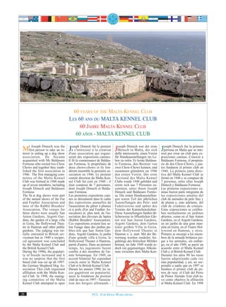 60 YEARS OF THE MALTA KENNEL CLUB
                                    LES 60 ANS DU MALTA KENNEL CLUB
                                         60 JAHRE MALTA KENNEL CLUB
                                       60 AÑOS - MALTA KENNEL CLUB

Mrfirst setting up atakewas the Joseph Dimech futquicréation Joseph Dimech war derVerein Joseph Dimech fuequeparainte-
       Joseph Dimech
terest in
          person to      an in-  à s'intéresser à la
                      dog show d'une association
                                                    le premier
                                                                 Mensch in Malta, der sich
                                                       organi- dafür interessierte, einen
                                                                                          erste
                                                                                                  persona en Malta
                                                                                                                     la primera
                                                                                                resó por crear un club
                                                                                                                        se
                                                                                                                            ex-
association. He became              serait des expositions canines.      für Hundeausstellungen ins Le-     posiciones caninas. Conoció a
acquainted with Mr Baldasare        Il fit la connaissance de Baldas-    ben zu rufen. Er lernte Baldasa-   Baldasare Formosa, el propieta-
Formosa who owned two Chow          are Formosa, le propriétaire de      re Formosa, den Besitzer von       rio de dos Chow-Chows, y jun-
Chows and together they estab-      deux chows-chows et ils fon-         zwei Chow-Chows kennen, und        tos fundaron el primer club en
lished the first association in     dèrent ensemble la première as-      zusammen gründeten sie 1946        1946. La primera junta direc-
1946. The first managing com-       sociation en 1946. Le premier        den ersten Verein. Der erste       tiva del Malta Kennel Club se
mittee of the Malta Kennel          comité directeur du Malta Ken-       Vorstand des Malta Kennel          formó en 1948 y se compuso de
Club was formed in 1948 made        nel Club fut créé en 1948 ; il       Clubs wurde 1948 gebildet und      7 personas, entre ellas Joseph
up of seven members, including      était composé de 7 personnes,        setzte sich aus 7 Personen zu-     Dimech y Baldasare Formosa.
Joseph Dimech and Baldasare         dont Joseph Dimech et Balda-         sammen, unter ihnen Joseph         Las primeras exposiciones ca-
Formosa                             sare Formosa.                        Dimech und Baldasare Formo-        ninas fueron parte integrante de
The fir.st dog shows were part      Les premières expositions cani-      sa. Die ersten Hundeausstellun-    las exposiciones anuales del
of the annual shows of the Fur      nes se déroulaient dans le cadre     gen waren Teil der jährlichen      club de animales de pelo fino y
and Feather Association and         des expositions annuelles de         Ausstellungen des Pelz- und        de pluma y, más adelante, del
later of the Rabbit Breeders'       l'association du gibier à plumes     Federvereins und später des        club de criadores de conejos.
Association. The venues for         et à poils (Fur and Feather As-      Vereins der Kaninchenzüchter.      Estas exposiciones se celebra-
these shows were usually San        sociation) et, plus tard, de l'as-   Diese Ausstellungen fanden üb-     ban normalmente en jardines
Anton Gardens, Argotti Gar-         sociation des éleveurs de lapins     licherweise in öffentlichen Gär-   abiertos, como en el San Anton
dens, the garden of a large villa   (Rabbit Breeders' Association).      ten wie San Anton Gardens,         Gardens, en el Argotti Gardens,
in Gzira, the Hollywood Thea-       Ces expositions avaient lieu se-     Argotti Gardens, dem Garten        en un jardín de una gran man-
tre in Hamrun and other public      lon l'usage dans des jardins pu-     einer großen Villa in Gzira,       sión en Gzira, en el Teatro Hol-
gardens. The judging was ini-       blics tels que San Anton Gar-        dem Hollywood Theater in           lywood en Hamrun, y otros.
tially entrusted to British ser-    dens, Argotti Gardens, le jardin     Hamrun u. a. statt. Mit der Be-    Primero se encargó a los miem-
vicemen but in 1949 a recipro-      d'une grande villa à Gzira, le       wertung wurden zunächst An-        bros de la armada británica juz-
cal agreement was concluded         Hollywood Theater à Hamrun,          gehörige des britischen Militärs   gar a los animales, sin embar-
by the Malta Kennel Club and        parmi d'autres. Dans un premier      betraut, im Jahr 1949 wurde je-    go, en el año 1949, se pactó un
the British Kennel Club.            temps, les jugements furent          doch ein gegenseitiges Abkom-      acuerdo entre el Malta Kennel
During the 1990s, the populari-     confiés à des membres de l'ar-       men zwischen dem Malta Ken-        Club y el British Kennel Club.
ty of breeds increased and it       mée britannique. En 1949, un                                            Durante los años 90 las razas
was no surprise that the first      accord bilatéral fut cependant                                          fueron adquiriendo cada vez
breed club was set up ub 1997:      conclu entre le Malta Kennel                                            más popularidad, y así, no sor-
the German Shepherd Dog As-         Club et le British Kennel Club.                                         prendió a nadie que en 1997 se
sociation This club requested       Durant les années 1990, les ra-                                         fundara el primer club de pe-
affiliation with the Malta Ken-     ces gagnèrent en popularité,                                            rros de raza: el Club del Perro
nel Club. In 1998, the manag-       aussi la fondation du premier                                           de Pastor Alemán. Este club tu-
ing committee of the Malta          club de race en 1997 - l'associa-                                       vo como objetivo la afiliación
Kennel Club attempted to open       tion des bergers allemands -                                            al Malta Kennel Club. En 1998


28                                                    FCI. FOR DOGS WORLDWIDE.
 