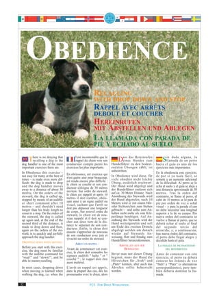 OBEDIENCE
                                                        RECALLING
                                                        WITH DROP DOWN AND STOP
                                                        RAPPEL AVEC ARRÊTS
                                                        DEBOUT ET COUCHER
                                                        HEREINRUFEN
                                                        MIT ABSTELLEN UND ABLEGEN
                                                        LA LLAMADA CON PARADA DE
                                                        PIE Y ECHADO AL SUELO

    There is oneadenyingmost
            is no        that
       recalling dog to the
dog handler       of the
                                       Ilrappelcompte parmi son
                                           est incontestable que le

                                   conducteur
                                                 du chien vers
                                                                les
                                                                          Dass dasHundes zum
                                                                              eines
                                                                                      Hereinrufen

                                                                       Hundeführer zu den bedeut-
                                                                                                              Sin duda de un perro
                                                                                                               llamada
                                                                                                                        alguna, la

                                                                                                         hacia el guía es uno de los
important exercises there are.     exercices les plus importants.      endsten Übungen zählt, ist        ejercicios más importantes.
                                                                       unbestritten.
In Obedience this exercise –       En obéissance, cet exercice qui                                       En la obediencia este ejercicio,
not easy for many at the best of                                       In Obedience wird diese, für      de por sí ya nada fácil, se
                                   n'est guère aisé pour beaucoup,     viele ohnehin nicht leichte
times – is made even more dif-     est rendu encore plus difficile :                                     somete a un aumento adicional
ficult: the dog is made to drop                                        Übung, zusätzlich erschwert:      de la dificultad: Al perro se lo
                                   le chien se couche et son con-      Der Hund wird abgelegt und
and the dog handler moves          ducteur s'éloigne de 30 mètres                                        echa al suelo y el guía se aleja a
away to a distance of about 30                                         der Hundeführer entfernt sich     una distancia aproximada de 30
                                   environ. Sur ordre du steward,      auf ca. 30 Meter Distanz. Nach
metres. On the orders of the       le chien est rappelé et après 10                                      metros. Tras la orden del
steward, the dog is called up,                                         Anordnung des Stewards wird       comisario, se llama al perro, al
                                   mètres il doit s'arrêter, obéis-    der Hund abgerufen, nach 10
stopped by means of an audible     sant ainsi à un signe auditif ou                                      cabo de 10 metros se lo para de
or short command after 10                                              Metern wird er mit einem Hör-     pie por orden de voz o señal
                                   visuel, sachant que l'arrêt ne      oder Sichtzeichen zum Stehen
metres – and shouldn’t need        doit pas dépasser une longueur                                        visual – y para la parada el can
longer than his body length to                                         gebracht – und sollte zum An-     no debe necesitar una longitud
                                   de corps. Sur nouvel ordre du       halten nicht mehr als eine Kör-
come to a stop. On the orders of   steward, le chien est de nou-                                         superior a la de su cuerpo. Por
the steward, the dog is called                                         perlänge benötigen. Auf An-       nueva orden del comisario se
                                   veau rappelé et il doit se cou-     ordnung des Stewards wird der
up again and, at the end of the    cher aux deux tiers de la dis-                                        vuelve a llamar al perro, que se
second third of the distance, is                                       Hund weitergerufen und soll       deberá echar al suelo al final
                                   tance le séparant de son con-       am Ende des zweiten Drittels
made to drop down and then,        ducteur. Enfin, le chien doit                                         del segundo tercio del
again on the orders of the ste-                                        abgelegt werden um danach         recorrido, y, a continuación,
                                   ensuite s'approcher de nouveau      wieder auf Stewards An-
ward, is to quickly and joyfully   de son conducteur avec joie et                                        tras nueva orden del comisario,
approach the dog handler.                                              weisung, flott und freudig zum    el perro debe llegar alegre y
                                   vivacité sur ordre du steward.      Hundeführer heranzukommen.
DROPPING DOWN WHEN MOVING:                                                                               decidido hasta el guía.
                                          ARRET EN RAPPEL :                  ABSTELLEN AUS DER
Before you start with this exer-                                                                           LA PARADA DE PIE PARTIENDO
                                   Avant de commencer cet exer-                  BEWEGUNG:                       DEL MOVIMIENTO:
cise, the dog must be familiar     cice, le chien doit connaître les
with the audible command for                                           Bevor man mit dieser Übung        Antes de comenzar con este
                                   signaux auditifs " halte " et "     beginnt, muss der Hund die
“stop!” and “down!”, and be        couché " ; le rappel doit être                                        ejercicio, el perro ya deberá
able to master recalling.                                              Hörzeichen für „Steh“ und         conocer las órdenes de voz
                                   aussi maîtrisé.                     „Platz“ kennen, aber auch das     “Steh” y “Platz” (o alternativas
In most cases, dropping down       L'arrêt en rappel est appris,       Abrufen sollte beherrscht         correspondientes), pero tam-
when moving is learned when        dans la plupart des cas, dès les    werden.                           bién debería dominar la lla-
walking the dog, i.e. when the     promenades avec le chien, alors                                       mada.


32                                                   FCI. FOR DOGS WORLDWIDE.
 