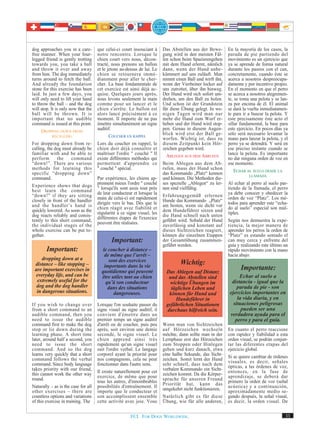 dog approaches you in a care-        que celui-ci court insouciant à     Das Abstellen aus der Bewe-       En la mayoría de los casos, la
free manner. When your four-         notre rencontre. Lorsque le         gung wird in den meisten Fäl-     parada de pie partiendo del
legged friend is gently trotting     chien court vers nous, décon-       len schon beim Spazierengehen     movimiento es un ejercicio que
towards you, you take a ball         tracté, nous prenons un ballon      mit dem Hund erlernt, nämlich     ya se aprende de forma natural
and throw it over and away           et le jetons au-dessus de lui. Le   dann, wenn der Hund unbe-         durante los paseos con el can,
from him. The dog immediately        chien se retournera immé-           kümmert auf uns zuläuft. Man      concretamente, cuando éste se
turns around to fetch the ball.      diatement pour aller le cher-       nimmt einen Ball und wirft ihn,   acerca a nosotros despreocupa-
And already the foundation           cher. La base fondamentale de       wenn der Vierbeiner locker auf    damente y por incentivo propio.
stone for this exercise has been     cet exercice est ainsi déjà ac-     uns zutrottet, über ihn hinweg.   En el momento en que el perro
laid. In just a few days, you        quise. Quelques jours après,        Der Hund wird sich sofort um-     se acerca a nosotros alegremen-
will only need to lift your hand     nous levons seulement la main       drehen, um den Ball zu holen.     te, se toma una pelota y se lan-
to throw the ball – and the dog      comme pour un lancer et le          Und schon ist der Grundstein      za por encima de él. El animal
will stop. It is only now that the   chien s'arrête. Le ballon est       für diese Übung gelegt. In we-    se dará la vuelta inmediatamen-
ball will be thrown. It is           alors lancé précisément à ce        nigen Tagen wird man nur          te para ir a buscar la pelota. Y
important that no audible            moment. Il importe de ne pas        mehr die Hand zum Wurf er-        este precisamente éste acto el
command is issued at this point.     émettre simultanément un signe      heben und der Hund wird stop-     sillar fundamental, la base para
     DROPPING DOWN FROM              auditif.                            pen. Genau in diesem Augen-       este ejercicio. En pocos días ya
           RECALLING                        COUCHER EN RAPPEL            blick wird erst der Ball ge-      sólo será necesario levantar la
                                                                         worfen. Wichtig ist, dass zu      mano para lanzar la pelota, y el
For dropping down from re-           Lors du coucher en rappel, le       diesem Zeitpunkt kein Hör-        perro ya se detendrá. Y será en
calling, the dog must already be     chien doit déjà connaître et        zeichen gegeben wird.             ese preciso instante cuando se
familiar with and be able to         maîtriser l'ordre " couché " Il       ABLEGEN AUS DEM ABRUFEN         lance la pelota. Es importante
perform       the    command         existe différentes méthodes qui                                       no dar ninguna orden de voz en
“down!”. There are various           permettent d'apprendre ce           Beim Ablegen aus dem Ab-          ese momento.
methods for learning this            " couché " spécial.                 rufen, muss der Hund schon          ECHAR AL SUELO DESDE LA
specific “dropping down”                                                 das Kommando „Platz“ kennen                  LLAMADA
command.                             Par expérience, les chiens ap-      und können. Die Methoden die-
                                     prennent mieux l'ordre " couché     ses spezielle „Ablegen“ zu ler-   Al echar al perro al suelo par-
Experience shows that dogs           " lorsqu'ils sont assis tout près   nen sind vielfältig.              tiendo de la llamada, el perro
best learn the command
                                     de leur conducteur et lorsque la                                      ya debe conocer y obedecer la
“down!” if they are sitting                                              Erfahrungsgemäß erlernen
closely in front of the handler      main de celui-ci est rapidement     Hunde das Kommando „Platz“        orden de voz “Platz”. Los mé-
                                     dirigée vers le bas. Dès que le                                       todos para aprender este “echa-
and the handler’s hand is                                                am besten, wenn sie dicht vor
                                     chien réagit avec fiabilité et                                        do al suelo” especial son múl-
quickly lowered. As soon as the      régularité à ce signe visuel, les
                                                                         dem Hundeführer sitzen und
                                                                                                           tiples.
dog reacts reliably and consis-                                          die Hand schnell nach unten
                                     différentes étapes de l'exercice
tently to this short command,                                            geführt wird. Sobald der Hund     Según nos demuestra la expe-
the individual stages of the         peuvent être réalisées.             zuverlässig und konstant auf      riencia, la mejor manera de
whole exercise can be put to-                                            dieses Sichtzeichen reagiert,     aprender los perros la orden de
gether.                                                                  können die einzelnen Etappen      “Platz” es estando sentado el
                                            Important:                   der Gesamtübung zusammen-         can muy cerca y enfrente del
                                                                         geführt werden.                   guía y realizando este último un
        Important:                      le coucher à distance –                                            rápido movimiento con la mano
                                         de même que l’arrêt –                                             hacia abajo.
     dropping down at a                    sont des exercices
 distance – like stopping –              importants dans la vie
                                                                                  Wichtig:
 are important exercises in            quotidienne qui peuvent            Das Ablegen auf Distanz
                                                                                                                 Importante:
 everyday life, and can be             être utiles tant au chien           und das Abstellen sind                Echar al suelo a
  extremely useful for the                qu’à son conducteur               wichtige Übungen im              distancia - igual que la
  dog and the dog handler                  dans des situations              täglichen Leben und                 parada de pie - son
  in dangerous situations.                   dangereuses.                  können für Hund und              ejercicios importantes en
                                                                              Hundeführer in                    la vida diaria, y en
If you wish to change over           Lorsque l'on souhaite passer du      gefährlichen Situationen            situaciones peligrosas
from a short command to an           signe visuel au signe auditif, il    durchaus hilfreich sein.                pueden ser una
audible command, then you            convient d'émettre dans un                                             verdadera ayuda para el
need to issue the audible            premier temps un signe auditif                                            perro y para el guía.
command first to make the dog        d'arrêt ou de coucher, puis peu     Wenn man von Sichtzeichen
stop or lie down during the          après, soit environ une demie       auf Hörzeichen wechseln           En cuanto el perro reaccione
learning phase. A short time         seconde, le signe visuel. Le        möchte, dann sollte man in der    con rapidez y fiabilidad a esta
later, around half a second, you     chien apprend ainsi très            Lernphase erst das Hörzeichen     orden visual, se podrán conjun-
need to issue the short              rapidement qu'un signe visuel       zum Stoppen oder Hinlegen         tar las diferentes etapas del
command. And so the dog              suit l'ordre verbal. Le langage     geben und kurz danach, etwa       ejercicio global.
learns very quickly that a short     corporel ayant la priorité pour     eine halbe Sekunde, das Sicht-
                                                                                                           Si se quiere cambiar de órdenes
command follows the verbal           nos compagnons, cela ne peut        zeichen. Somit lernt der Hund
                                                                                                           visuales, es decir, señales
command. Since body language         fonctionner dans l'autre sens.      sehr schnell, dass nach dem
                                                                                                           ópticas, a las órdenes de voz,
takes priority with our friend,                                          verbalen Kommando ein Sicht-
this cannot work the other way       Il existe naturellement pour cet    zeichen kommt. Da die Körper-     entonces, en la fase de
                                     exercice, de même que pour                                            aprendizaje, se deberá dar
round.                               tous les autres, d'innombrables
                                                                         sprache für unseren Freund
                                                                                                           primero la orden de voz (señal
                                                                         Priorität hat, kann das
Naturally – as is the case for all   possibilités d'entraînement. Il     umgekehrt nicht funktionieren.    acústica) y a continuación,
other exercises – there are          importe que le conducteur et                                          aproximadamente medio se-
countless options and variations     son accomplissent ensemble          Natürlich gibt es für diese       gundo después, la señal visual,
of this exercise in training. The    cette activité avec joie. Vous      Übung, wie für alle anderen,      es decir, la orden visual. De


                                                       FCI. FOR DOGS WORLDWIDE.                                                          33
 
