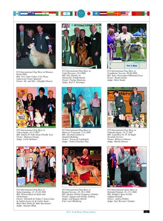 FCI International Dog Show in Monaco,   FCI International Dog Show in            FCI International Dog Show in
06.04.2008                              Celje/Slovenia, 19.4.2008                Trondheim/ Norway, 08.06.2008.
BIS: Very Vigie Vamos A La Playa        BIS: Dex Zlatolic’ni                     BIS: Kato (Norwegian Elkhound Grey)
(American Cocker Spaniel)               (Deutscher Schäferhund)                  Owner: Roald Normo
Owner: Mr. and Mrs. J.Stauffer/Doucet   Owner: Psarna Zlatoicna                  Judge: Marit Sunde
                                        Judge: Karl P. Reisinger




FCI International Dog Show in           FCI International Dog Show in            FCI International Dog Show in
Tokyo/Japan, 16.12.2007                 Maracay/Venezuela, 25.4.2008             Fukuoka/Japan, 18.11.2007
BIS: Smash JP Talk About (Poodle Toy)   BIS: Aurybull Galileo G.                 BIS: Land Rose R. JP All Right
Owner: Mamoru Oyama                     (English Bulldog)                        (Scottish Terrier)
Judge: Carla Molinari                   Owner: Teresa de Lamboglia               Owner: Rebecca Johnson
                                        Judge: Pedro Gonzáles Teja               Judge: Mariko Harase




FCI International Dog Show in           FCI International Dog Show in            FCI International Aptus Show in
Salta/Argentina, 22.-23.03.2008         Bergen/Norway, 29.-30.3.2008             Helsinki/Finland, 24.-25.5.2008
BIS: Wizard Black of Akido San          BIS: Qirmizi Global Temptress (Saluki)   BIS: Khafka's Spice-Is-Hot
(Doberman)                              Owner: Ingunn and Nicklas Solberg        (Afghan Hound)
Owner: Elizabeth & Telmo C.Souza Lima   Judge: Leif Ragnar Hjorth                Owner: Andrea Wöhler
& Andrea Laruccia & Carlos Souto        Foto: Lars Blomberg.                     Judge: Sari Brewster Tientjen
Black Brat Dobes & Akdo San Kennel
Judge: Suzanne Blum

                                            FCI. FOR DOGS WORLDWIDE.                                                   31
 